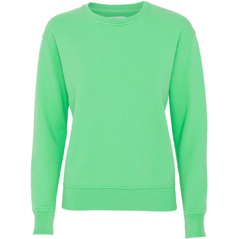 Sweater Classic Organic - spring green