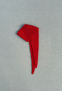 Sjaaltje Bisse - red