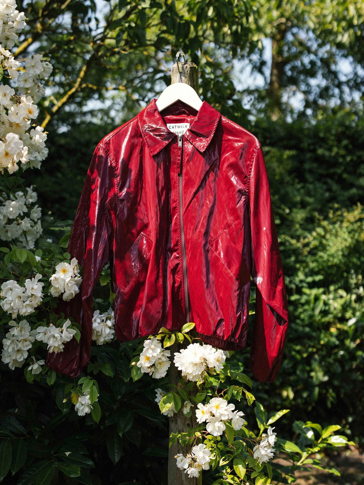 Jas Tuck in - Rhubarb