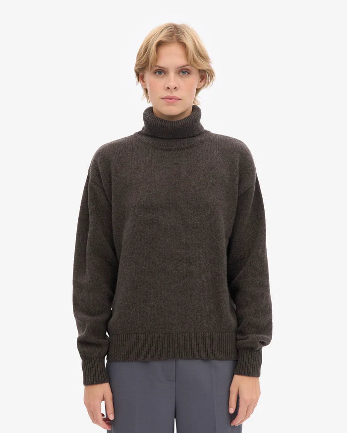 Trui Merino Turtleneck - coffee brown