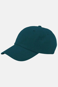 Pet - ocean green