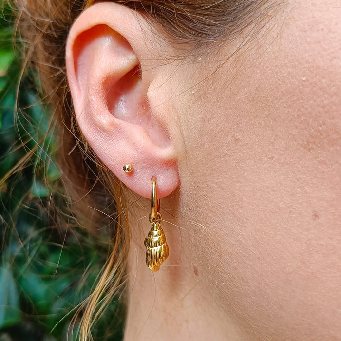 Oorhangers Seashell - goud