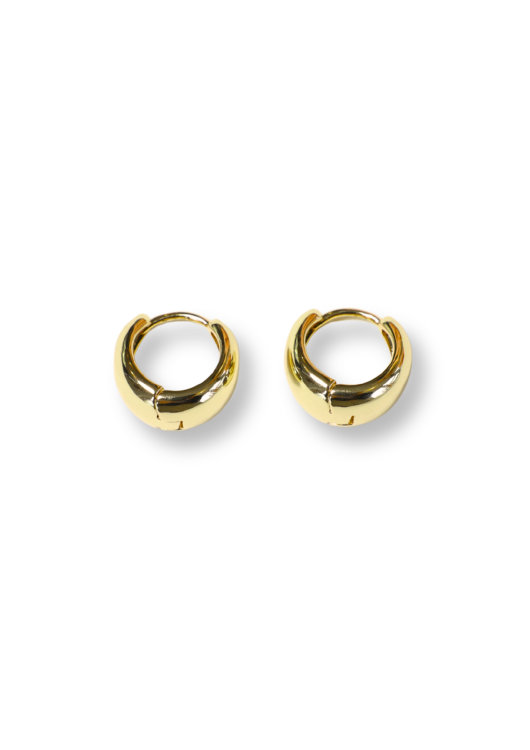 Oorhangers Round Oval - gold