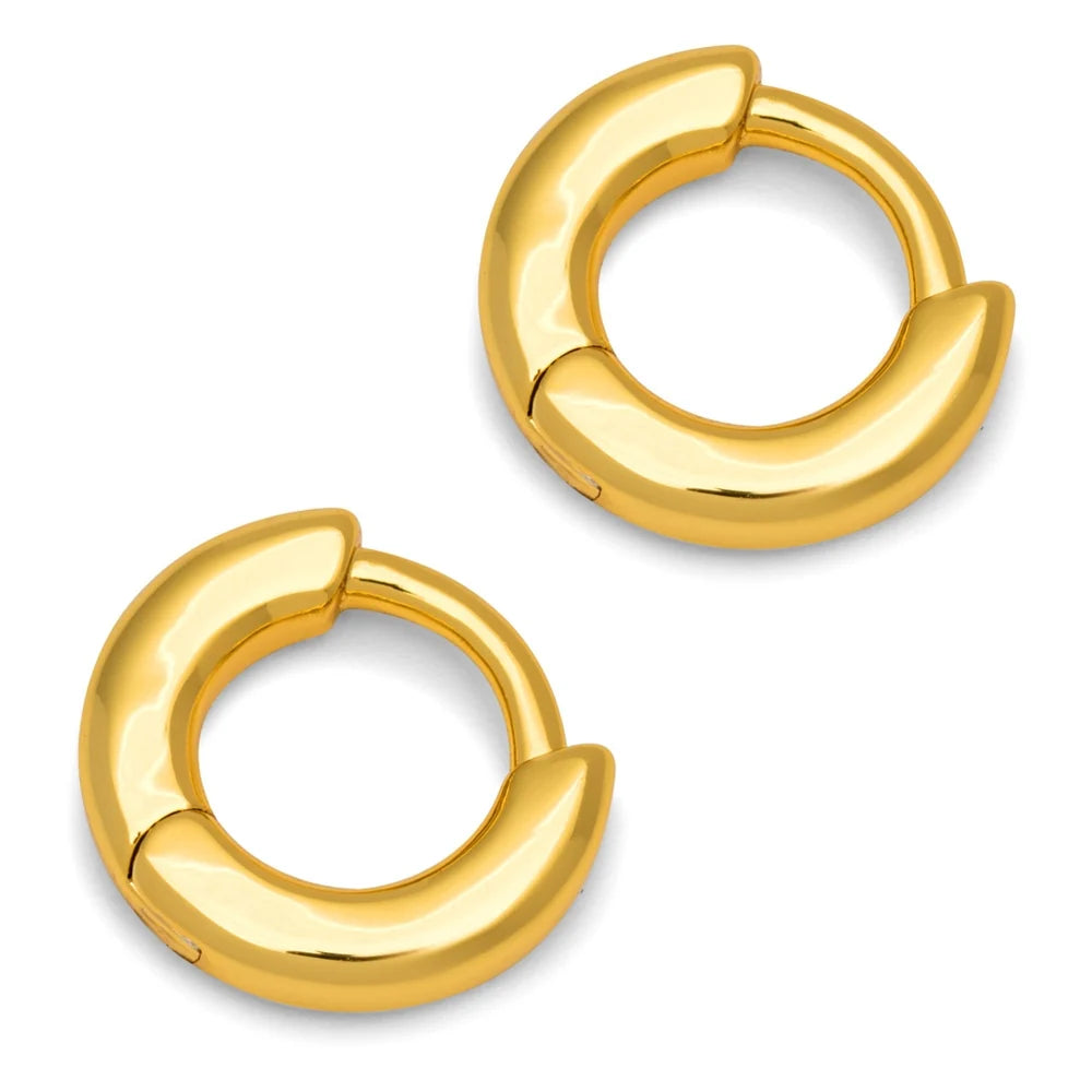 Oorhangers Buckle Hoops Small - goud