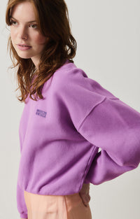 Sweater Izubird - paars