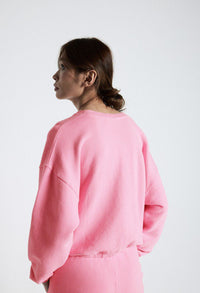Sweater Izubird - roze