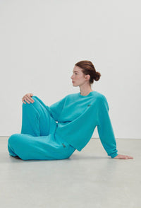 Sweater Izubird - blauw