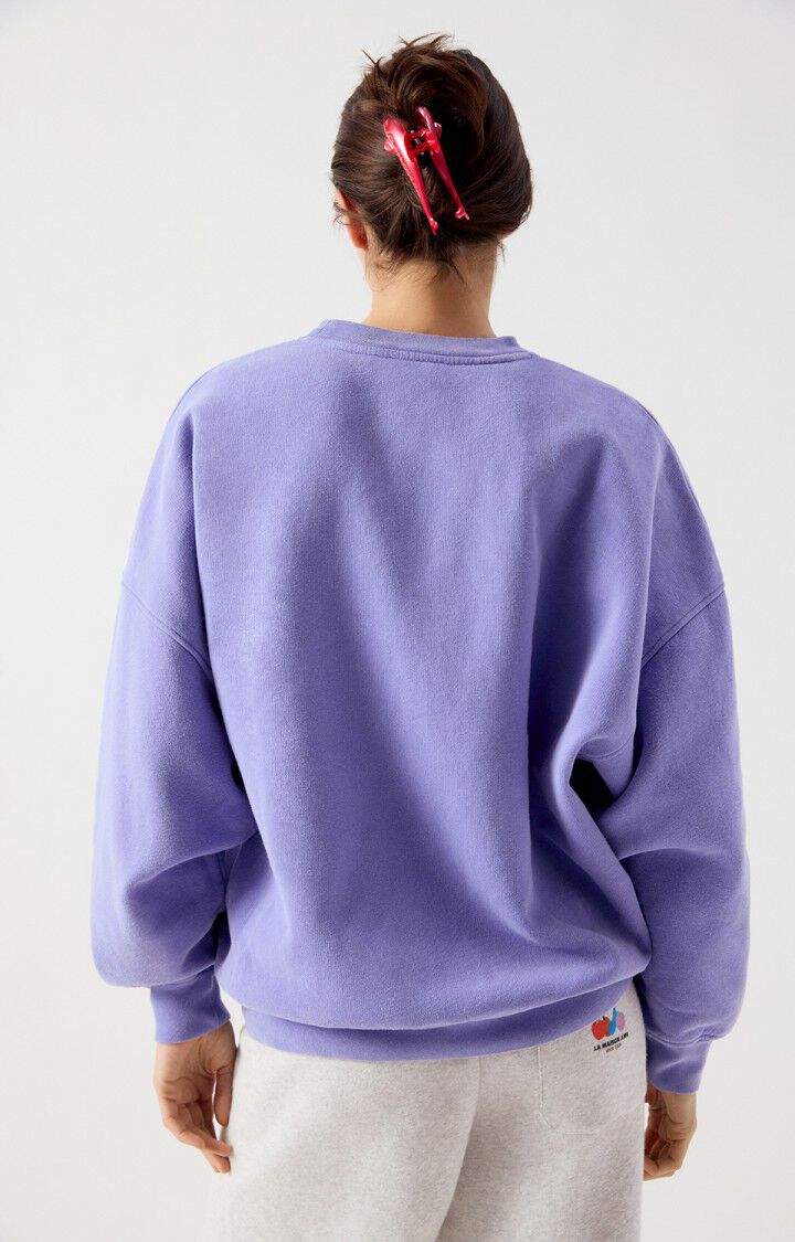 Sweater Plizzy - provence chine