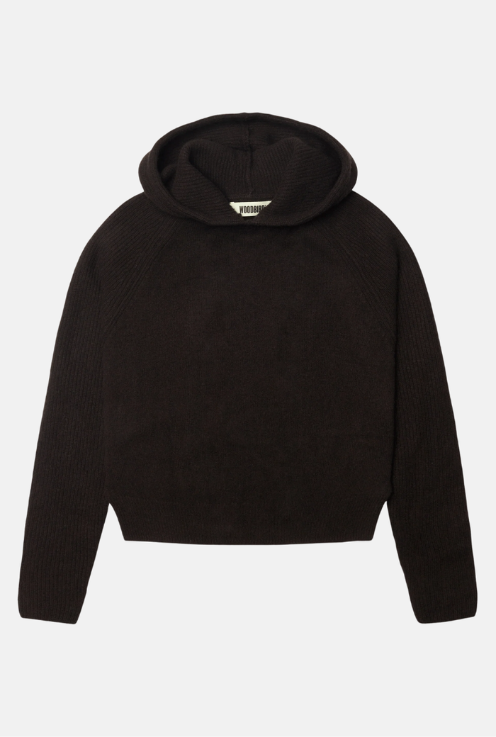 Trui Eve Hoodie - brown