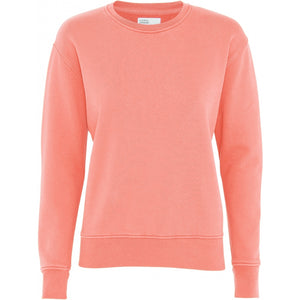 Sweater Classic Organic - koraal