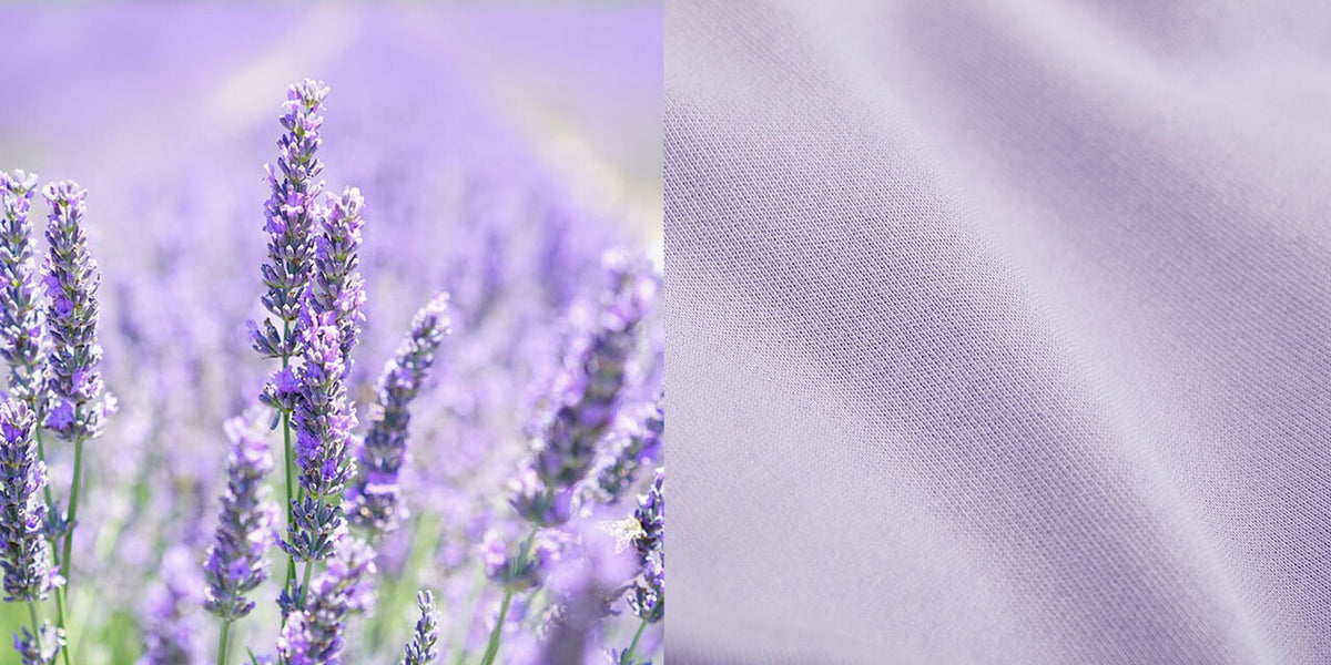 Sweater Classic Organic - soft lavender